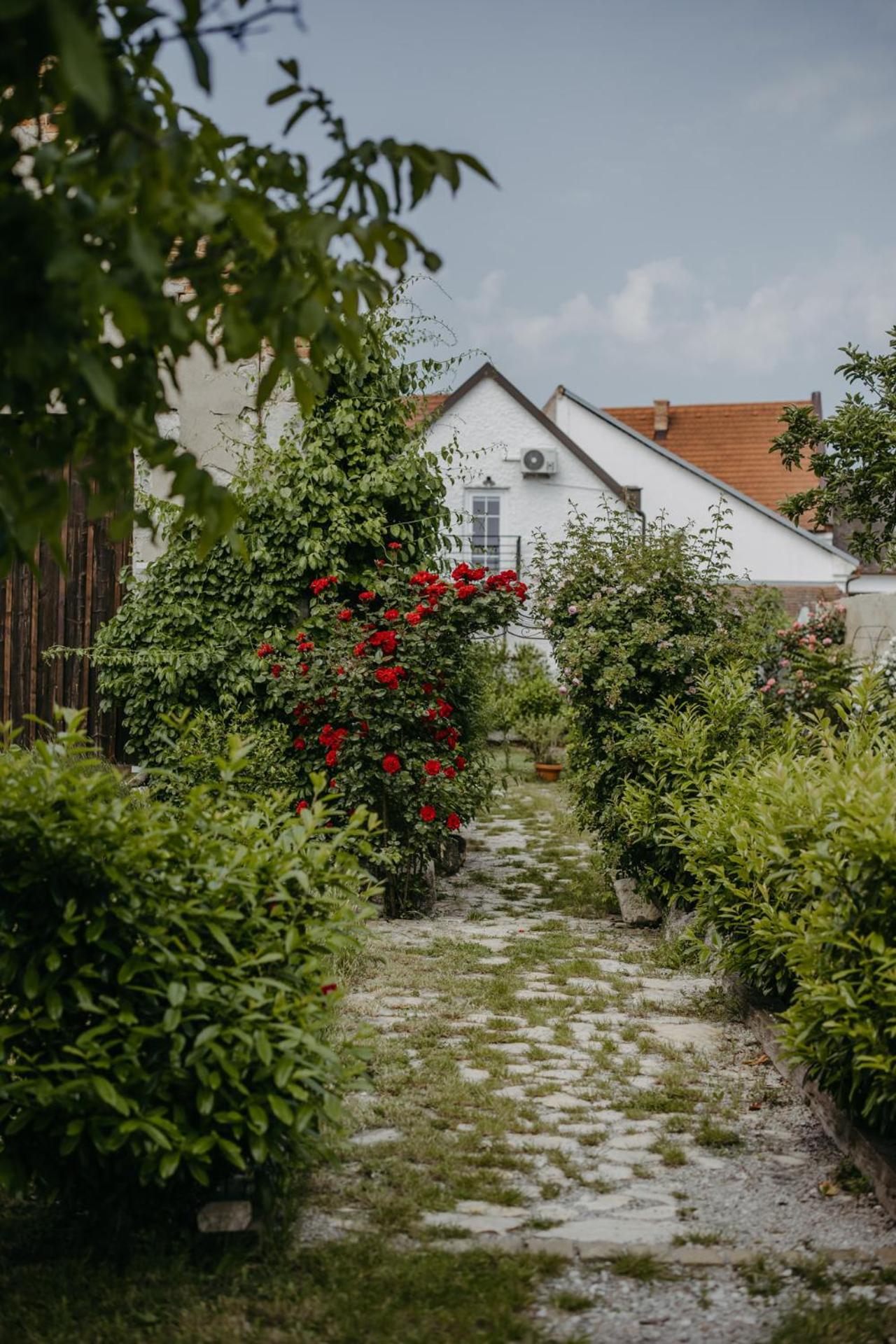 Haus Diogenes Lägenhet Mörbisch am See Exteriör bild
